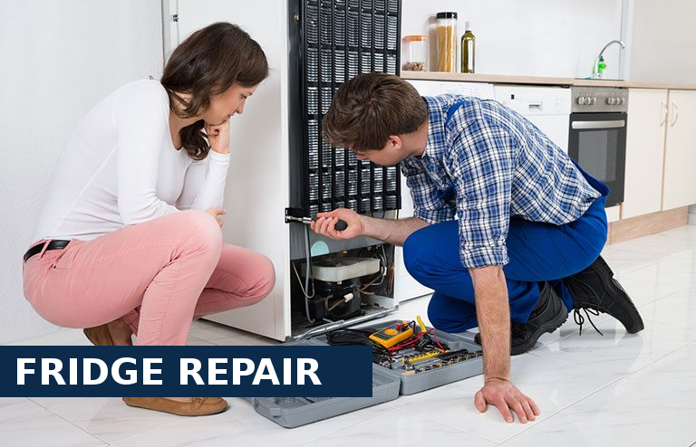 Fridge Repair Ashtead